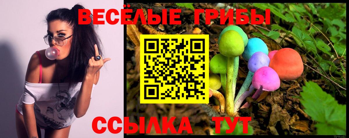 Псилоцибиновые грибы мухоморы Лесной